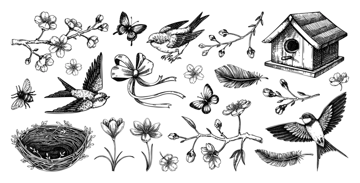 Hand-drawn spring sketches. Flying birds, sakura flowers, bird house, saffron vector illustrations. Easter design elements. NOT AI generated